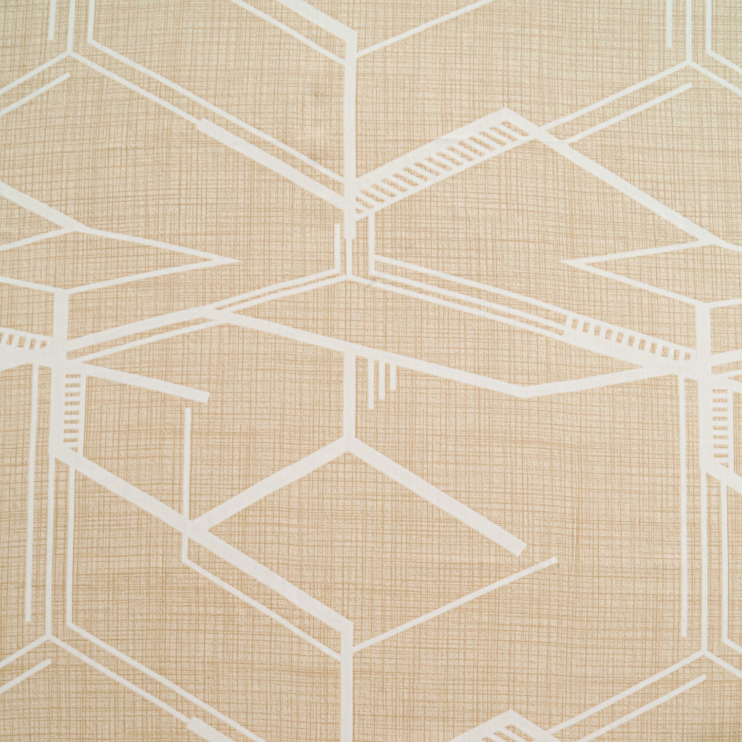 ZINNIA COLLECTION - 25071