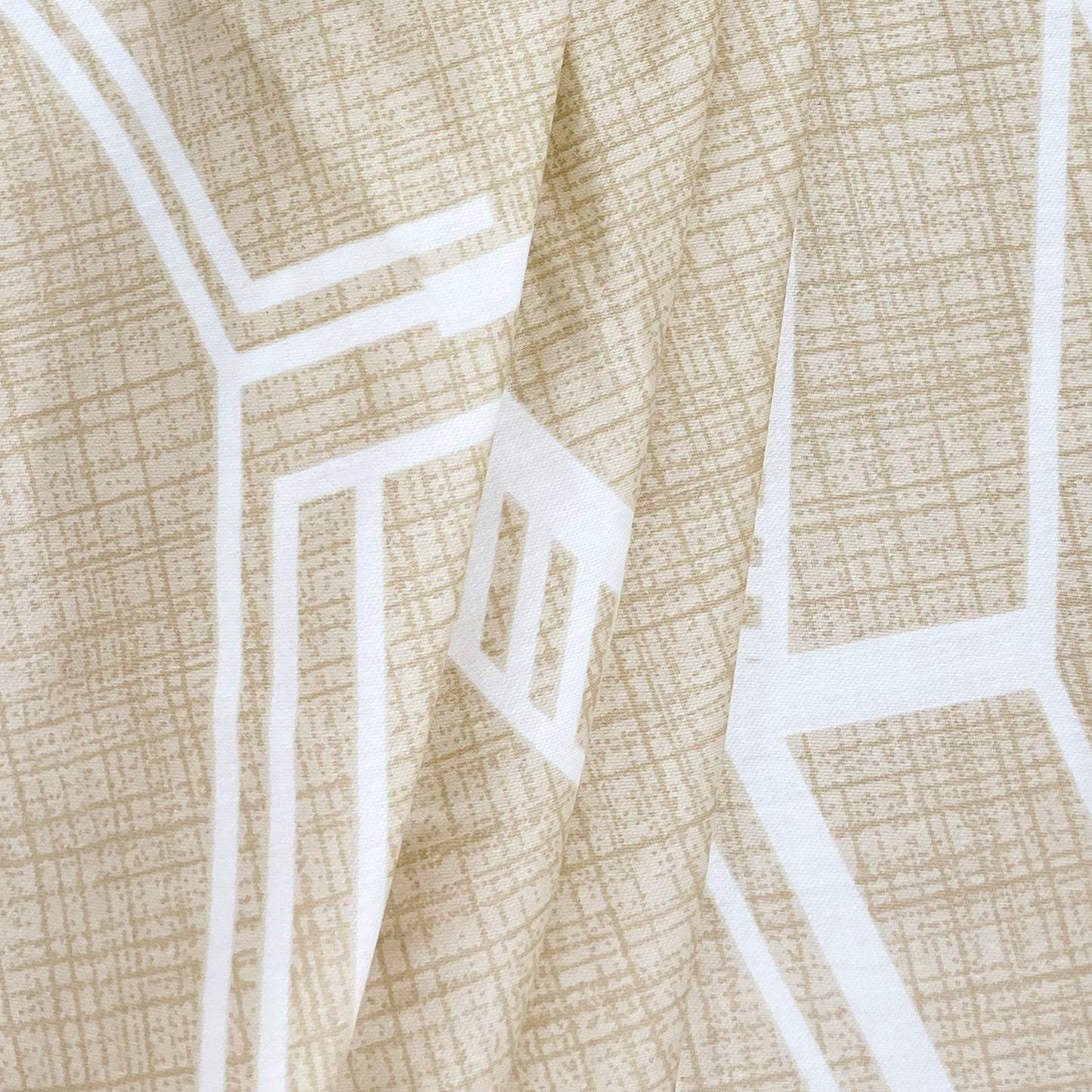 ZINNIA COLLECTION - 25071